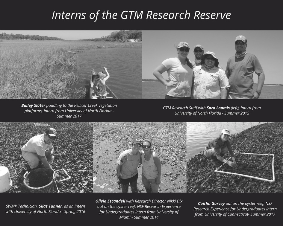 Interns of the GTM Research Reserve