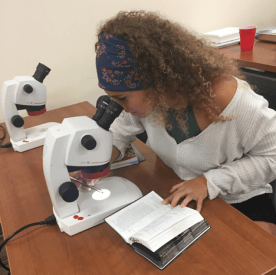 Sam Shaw_Intern2018wMicroscope